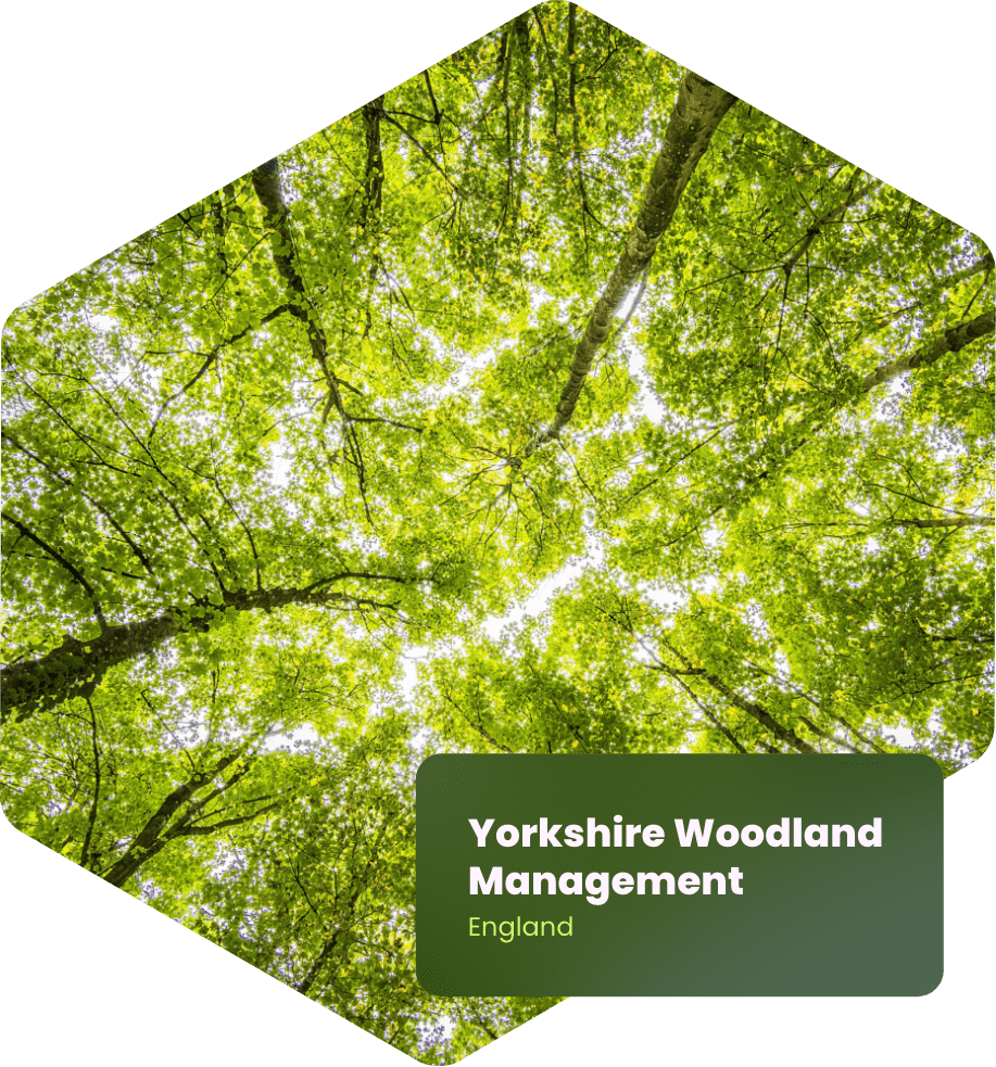 With our partnership with Carbon Neutral Britain